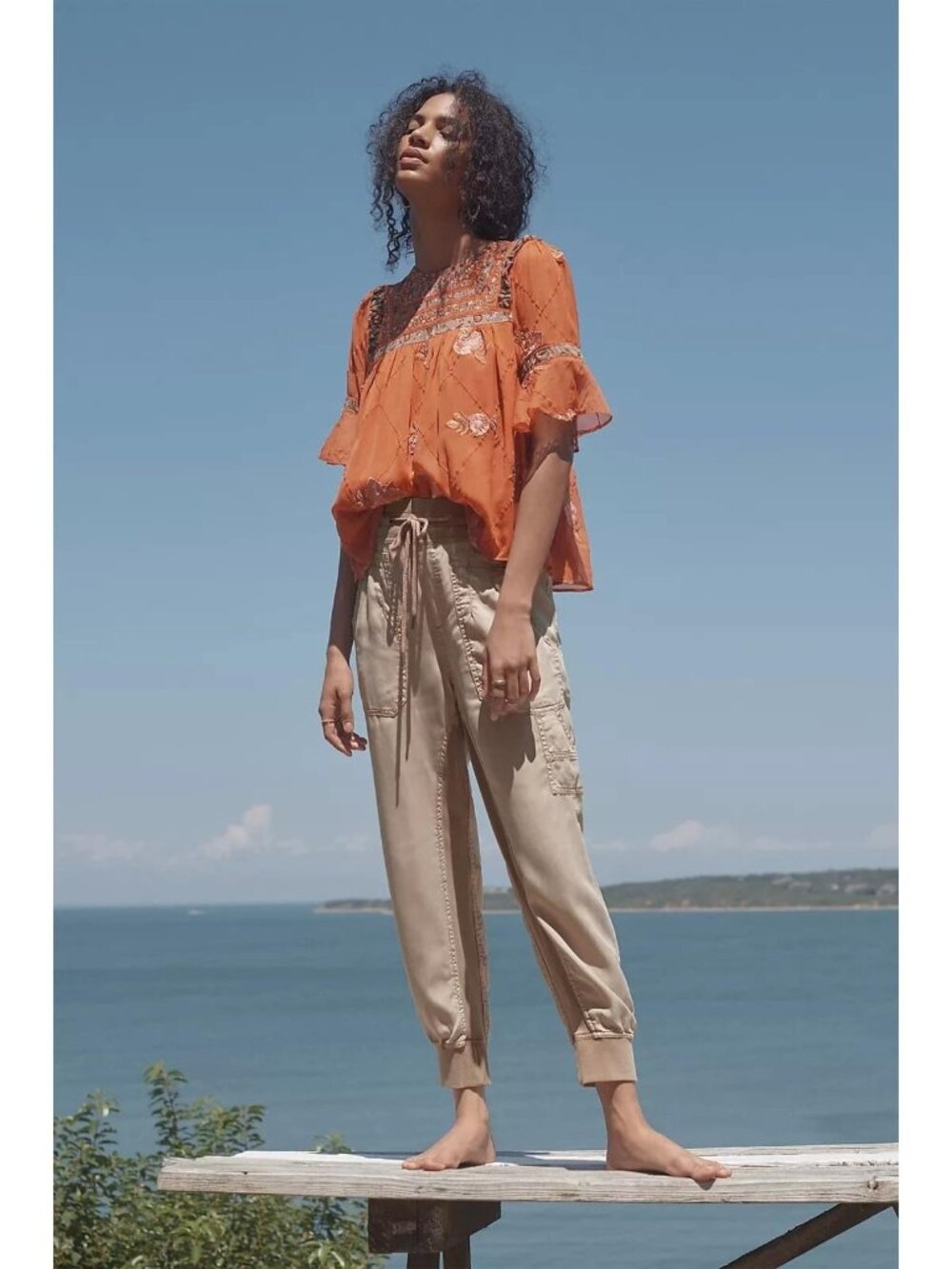 Anthropologie Seen Worn Kept Size 2  Issoire Embroidered Blouse